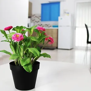 Duplex Comfort Apartament